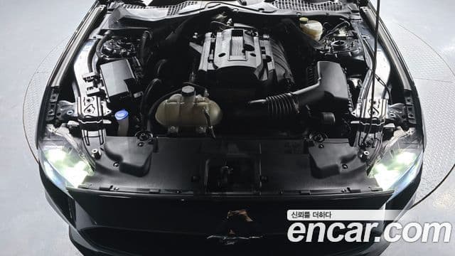 Ford Mustang купе, 2023 6