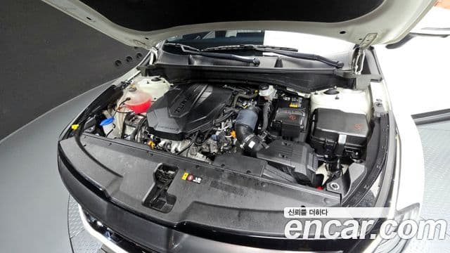 Kia Sportage 5세대 Signature, 2023 6