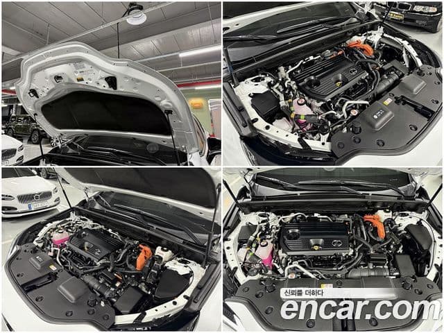 Lexus NX450h+ 2세대 F-Sport, 2024 19