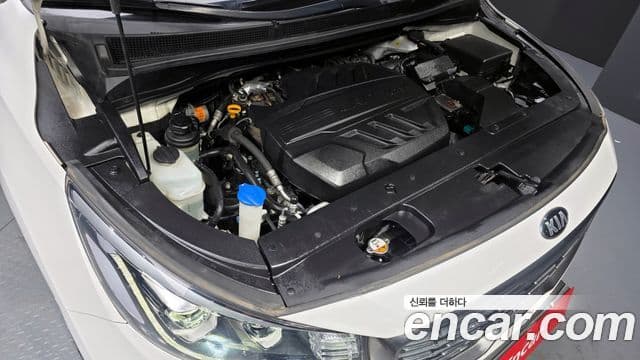 Kia The / новый New Carnival VIP, 2019 6