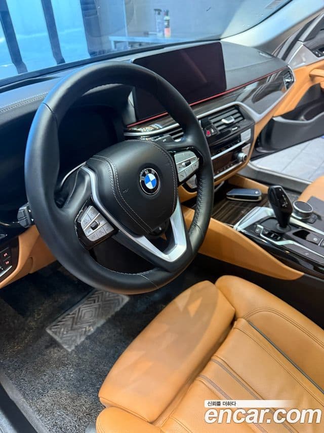 BMW 5시리즈 (G30) Luxury, 2023 6