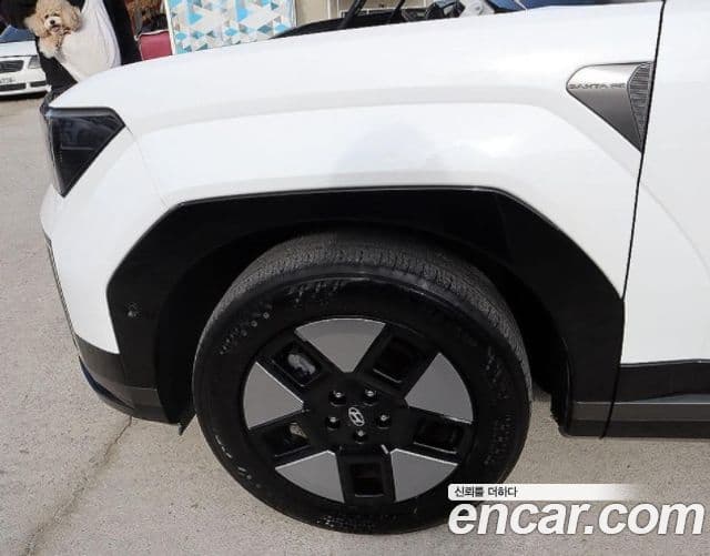 Hyundai Santa Fe (MX5) Calligraphy, 2024 6