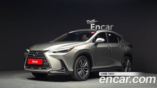 Lexus NX350h 2세대 Luxury, 2025 1