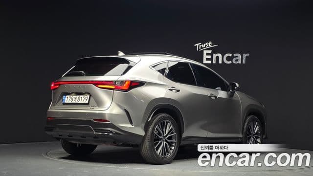 Lexus NX350h 2세대 Luxury, 2025 2