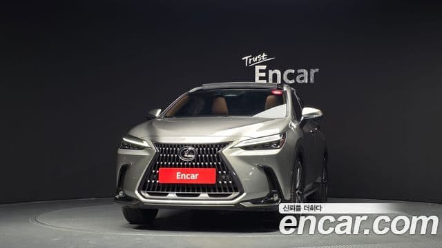Lexus NX350h 2세대 Luxury, 2025 3