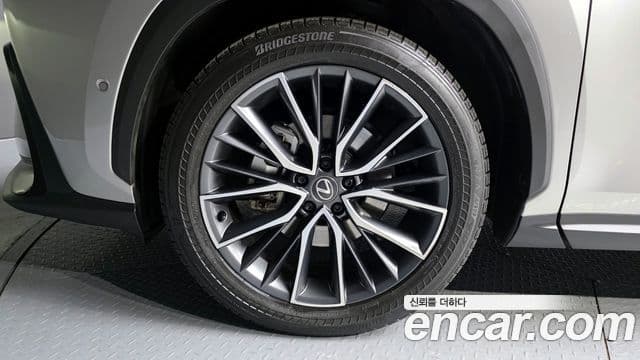 Lexus NX350h 2세대 Luxury, 2025 все фото