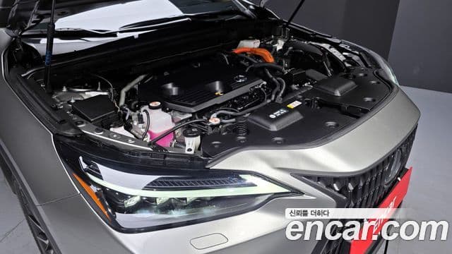 Lexus NX350h 2세대 Luxury, 2025 6