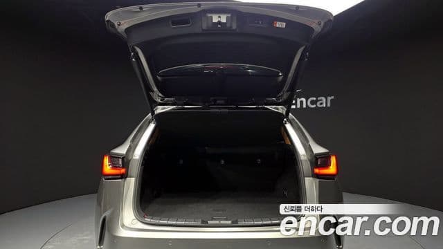 Lexus NX350h 2세대 Luxury, 2025 19