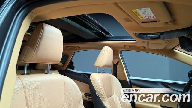 Lexus NX350h 2세대 Luxury, 2025 20