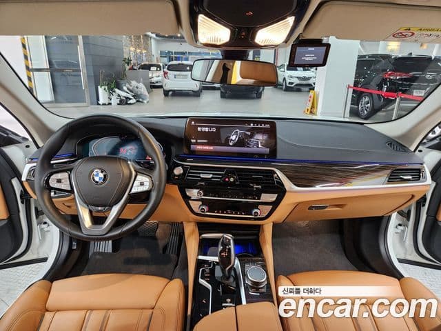 BMW 5시리즈 (G30) Luxury, 2022 7