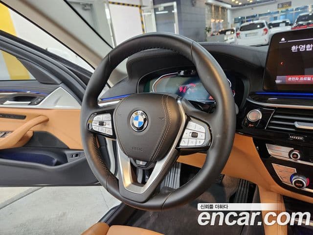 BMW 5시리즈 (G30) Luxury, 2022 12
