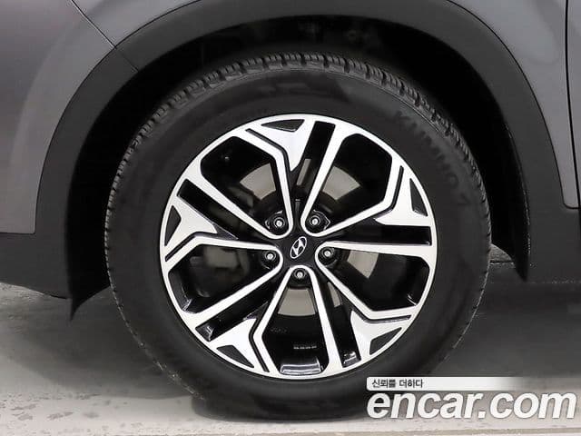 Hyundai Santa Fe TM Exclusive Special, 2019 все фото
