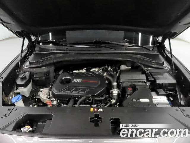 Hyundai Santa Fe TM Exclusive Special, 2019 6