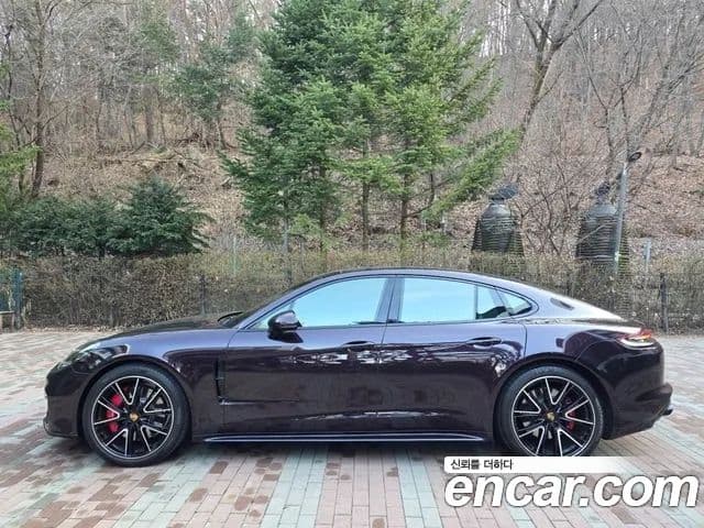 Porsche Panamera (971) 4.0 GTS, 2020 3