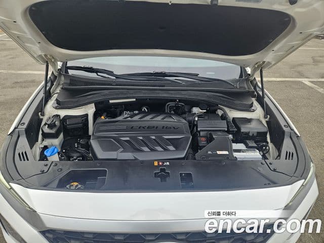 Hyundai Santa Fe TM Premium, 2019 6