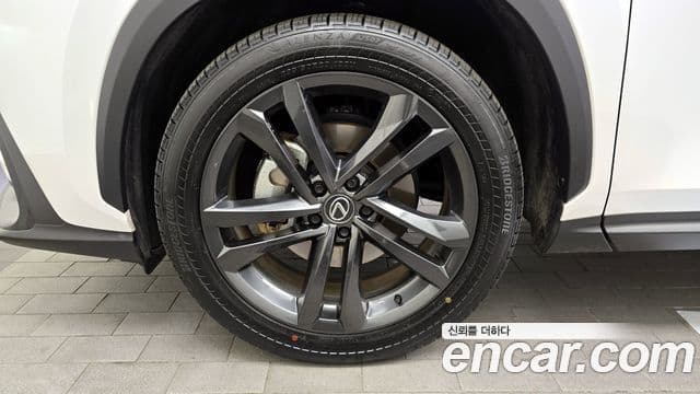 Lexus NX350h 2세대 Premium, 2025 все фото