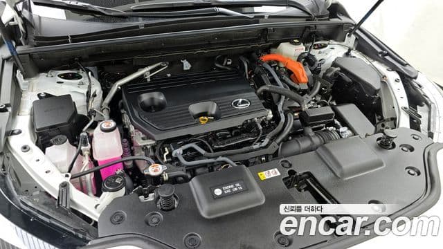 Lexus NX350h 2세대 Premium, 2025 6