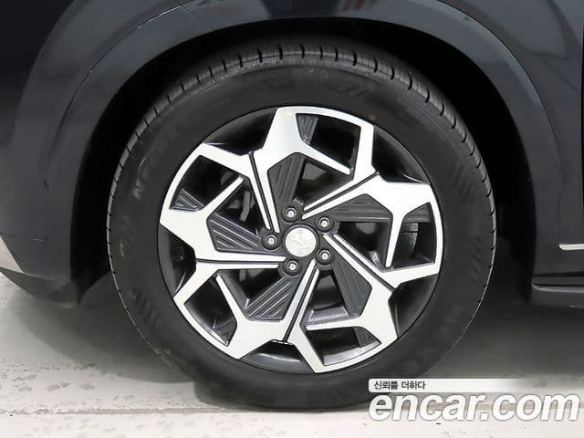 Hyundai Palisade Calligraphy, 2022 все фото