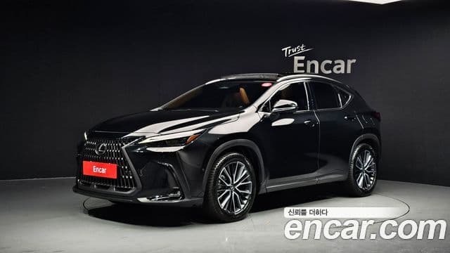 Lexus NX350h 2세대 Luxury, 2025 1