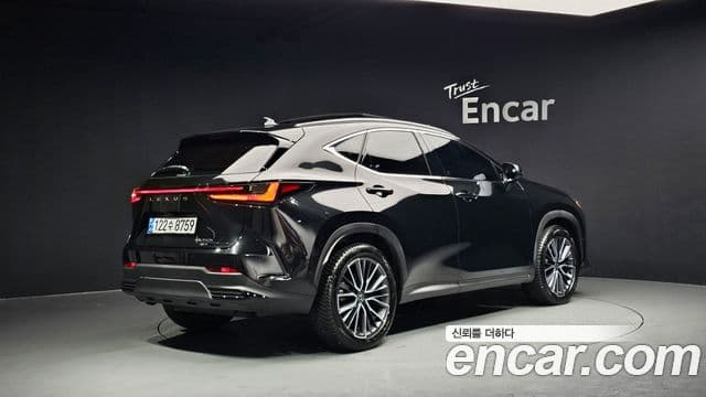 Lexus NX350h 2세대 Luxury, 2025 2