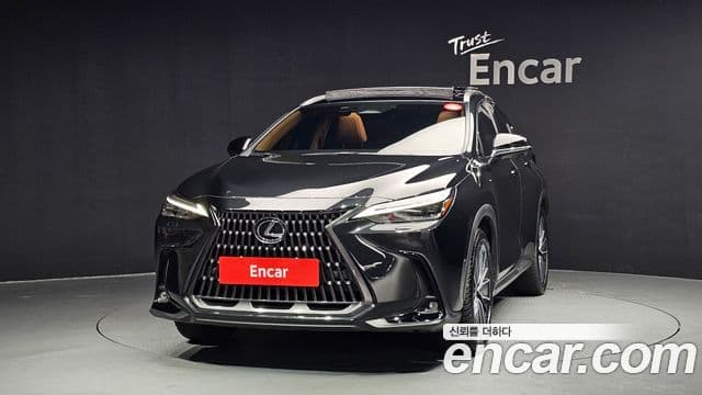 Lexus NX350h 2세대 Luxury, 2025 3