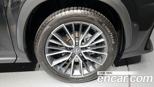 Lexus NX350h 2세대 Luxury, 2025 все фото