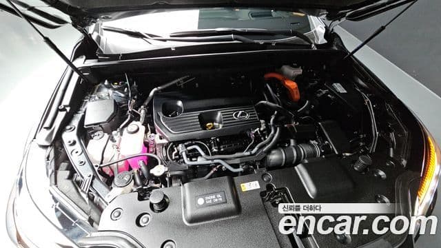 Lexus NX350h 2세대 Luxury, 2025 6