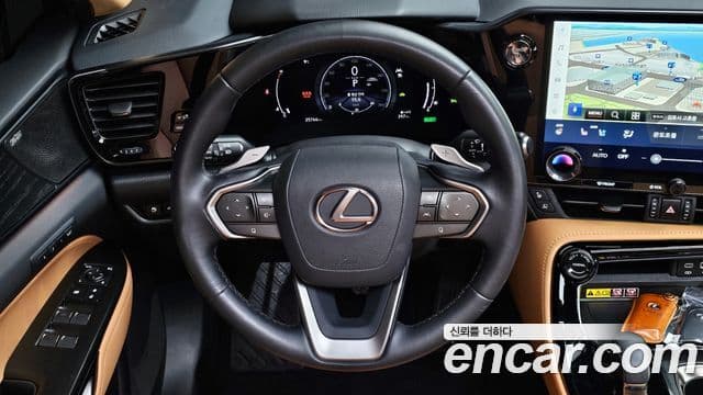 Lexus NX350h 2세대 Luxury, 2025 14
