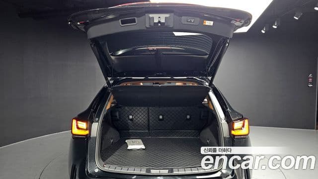 Lexus NX350h 2세대 Luxury, 2025 20