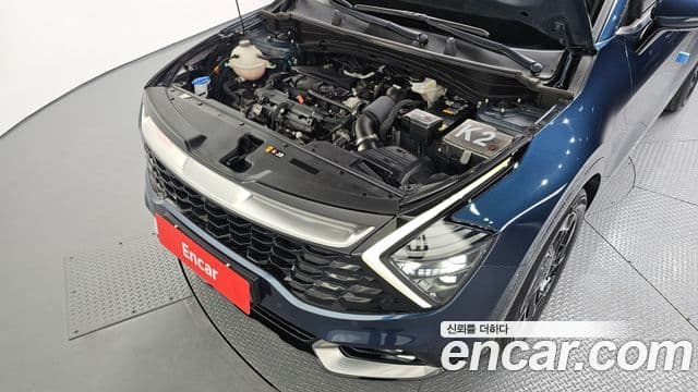 Kia Sportage 5세대 Signature, 2022 6