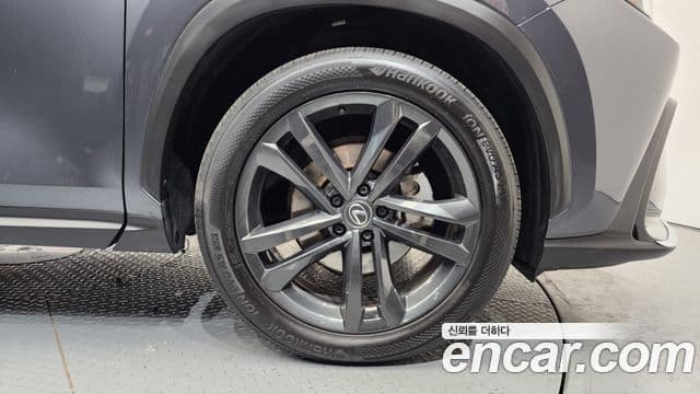 Lexus NX350h 2세대 Premium, 2024 все фото