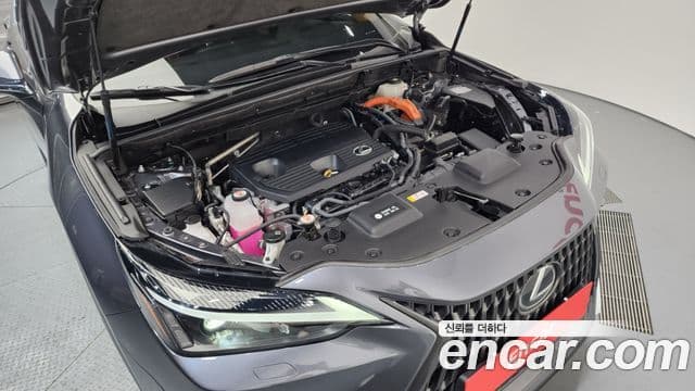 Lexus NX350h 2세대 Premium, 2024 6