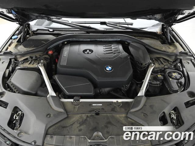 BMW 5시리즈 (G30) Luxury, 2021 6