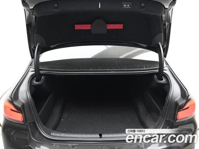 BMW 5시리즈 (G30) Luxury, 2021 20