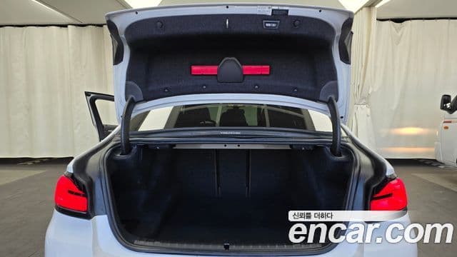 BMW 5시리즈 (G30) Luxury, 2021 20