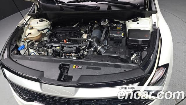 Kia Sportage 5세대 Prestige, 2023 6