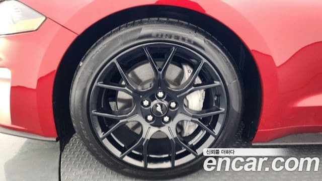 Ford Mustang купе, 2022 все фото