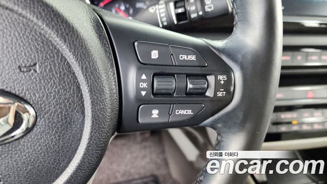 Kia The / новый New Carnival Special, 2019 17