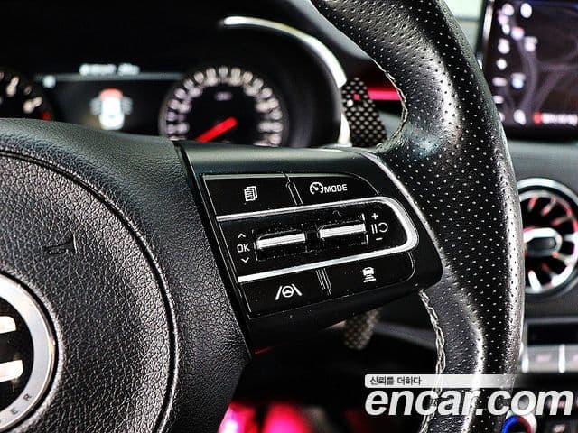 Kia 스팅어 마이스터 Platinum, 2021 20