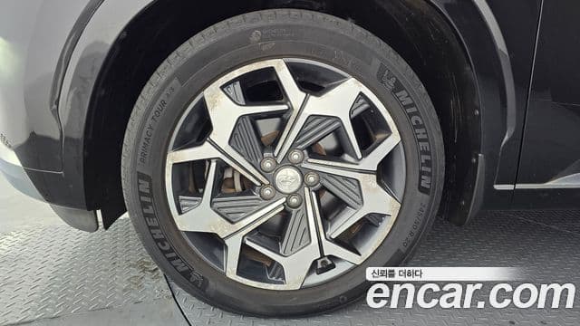 Hyundai Palisade Calligraphy, 2021 все фото