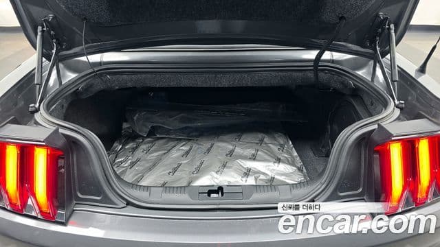 Ford Mustang кабриолет, 2021 20