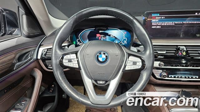 BMW 5시리즈 (G30) Luxury, 2022 13