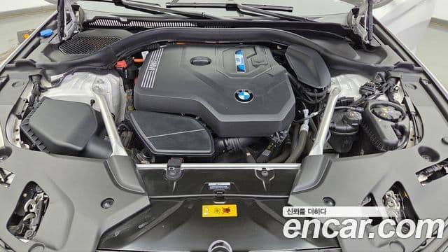 BMW 5시리즈 (G30) Luxury, 2023 6