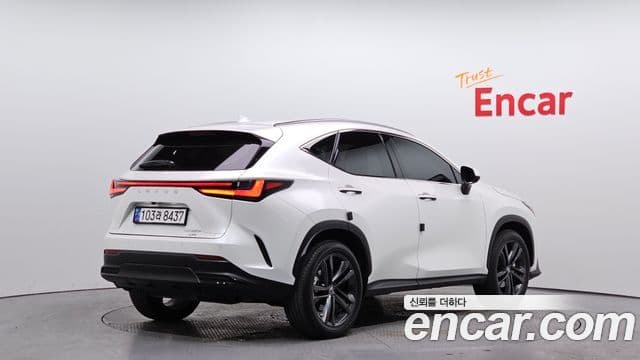 Lexus NX350h 2세대 Premium, 2025 2