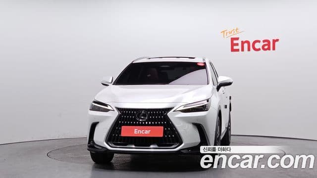 Lexus NX350h 2세대 Premium, 2025 3