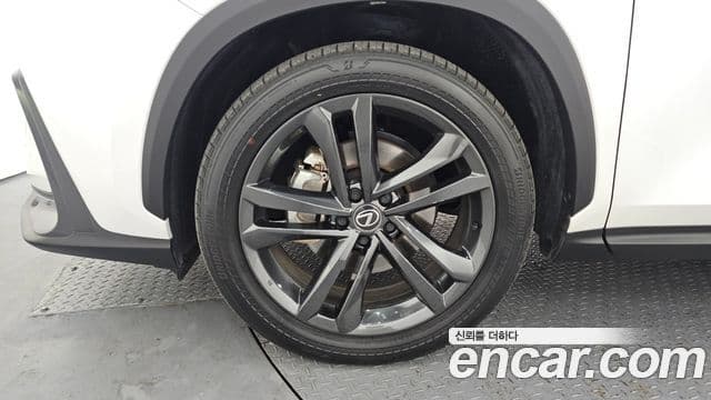 Lexus NX350h 2세대 Premium, 2025 все фото