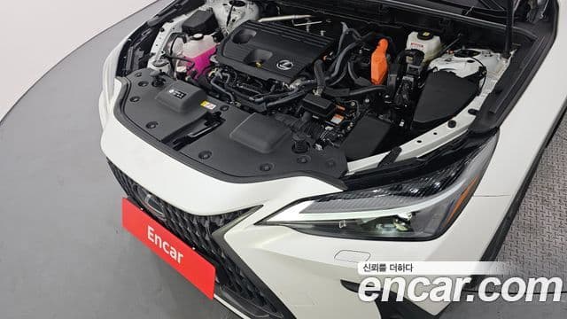 Lexus NX350h 2세대 Premium, 2025 6