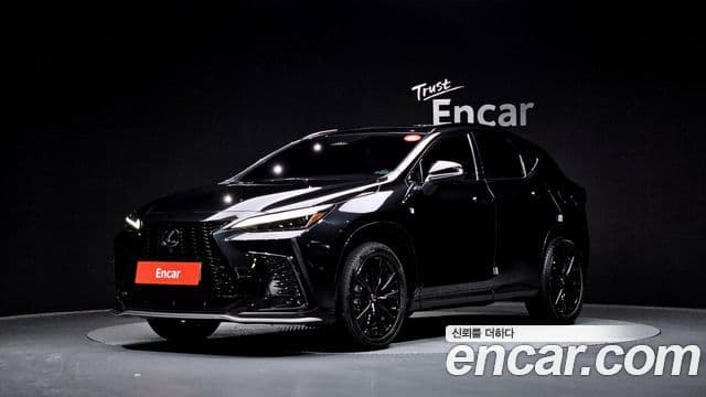 Lexus NX450h+ 2세대 F-Sport, 2022 1