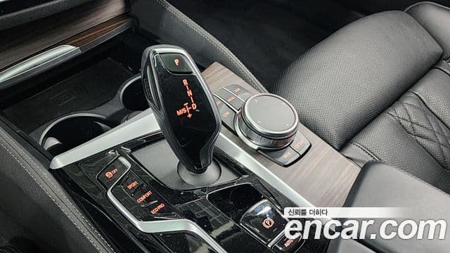 BMW 5시리즈 (G30) Luxury, 2023 9