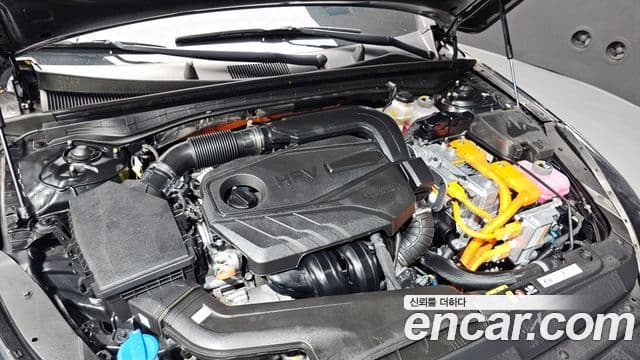 Kia K5 гибрид 3세대 Noblesse, 2023 6